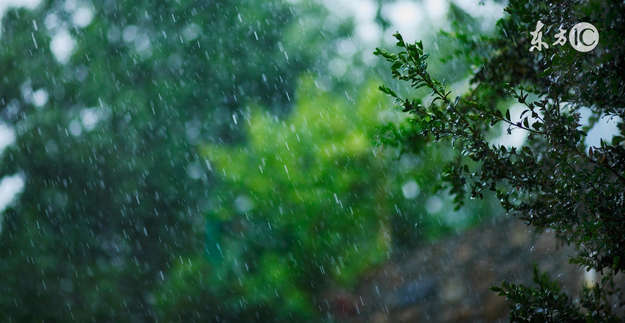 卡氏十六种人格因素量表,16种心理测试