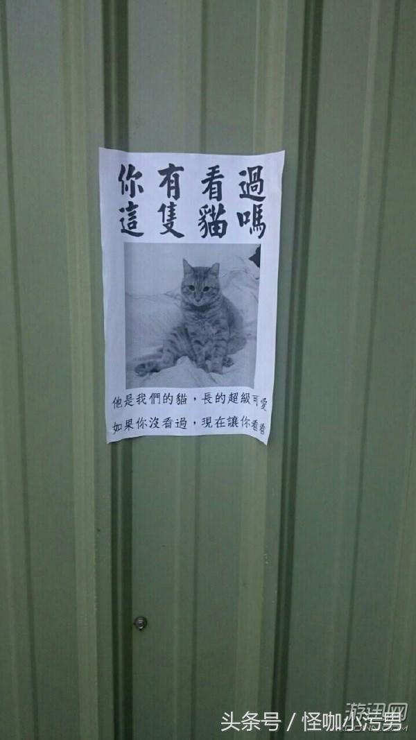 泰国广告女大十八变完整版,女大十八变泰国索尼广告