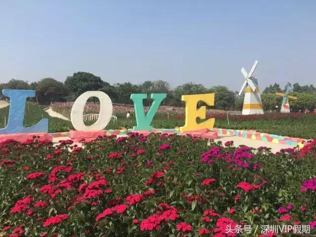 从化毅华温泉特色,从化毅华温泉旅游攻略