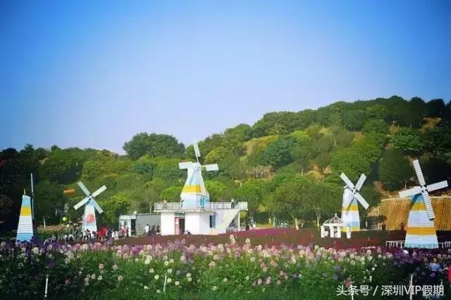 从化毅华温泉特色,从化毅华温泉旅游攻略