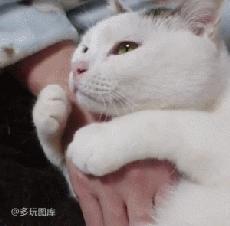 这算不算最萌身高差?