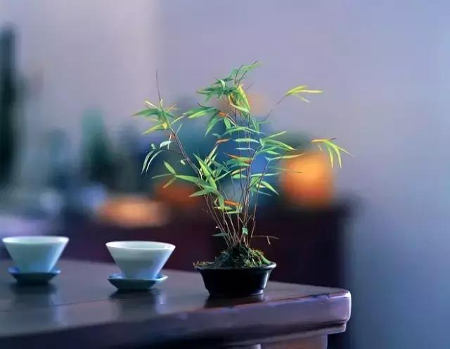 目前我们学过的词牌名有哪些,如何正确选择词牌名