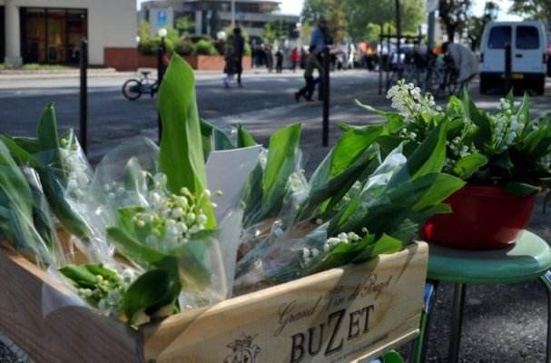 法国0距离|深谷幽兰:一个属于花朵的法国五一节