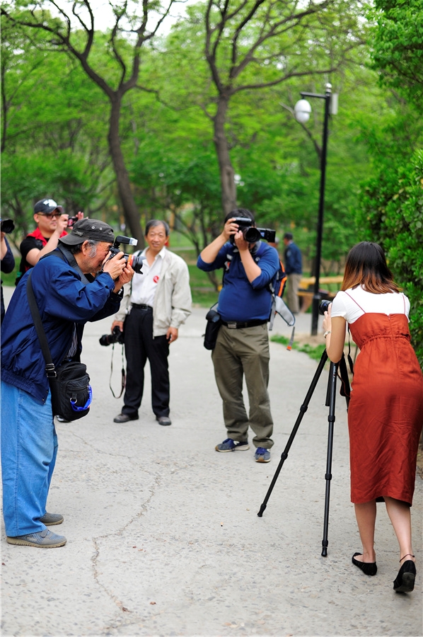 “劲捷杯”最美春·途摄影大赛兴隆公园外拍活动花絮