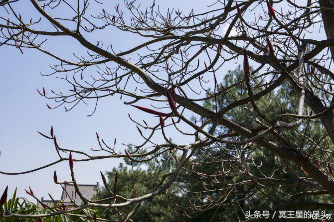 云南小伙租车游云南,云南自驾七日游最全攻略