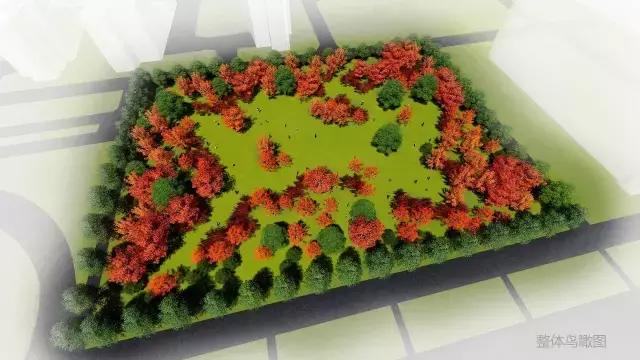 武大樱花园的介绍,武大樱园