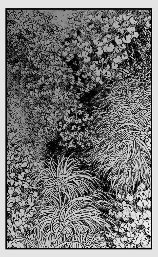 插画师迷狸：路过，停留