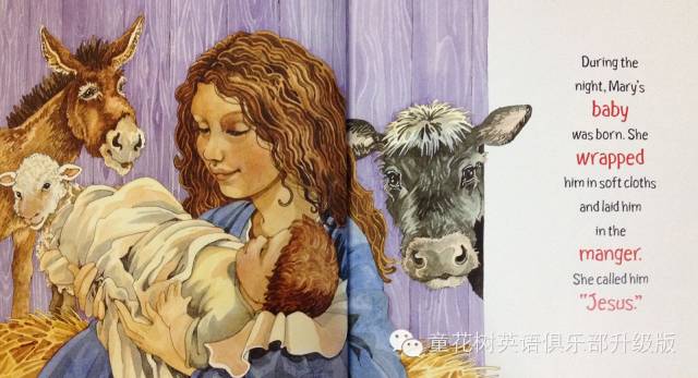 想妈绘本,想妈视频