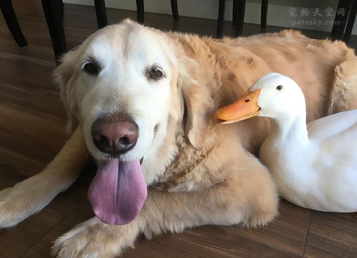 真正的友谊不会因为你不在乎,真正的友谊不会计较细节