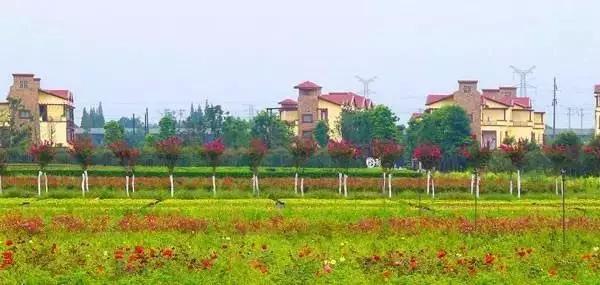 四川房车露营,川藏线上最火的房车露营基地