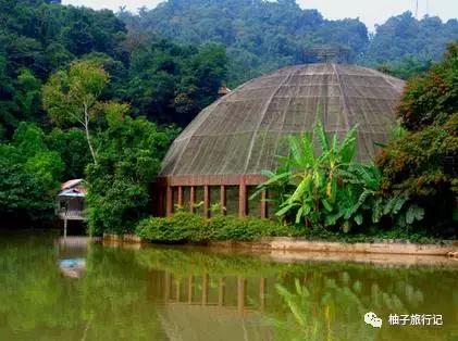 泼水节后，西双版纳该怎么玩，附防高温注意事项