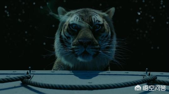 每日推荐10部经典电影,只推荐一部电影