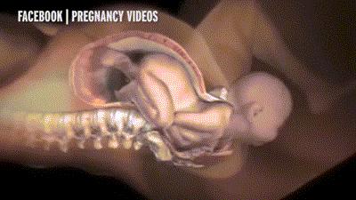 孕晚期耻骨疼多久宝宝会出生,孕晚期耻骨痛还要多久才会生