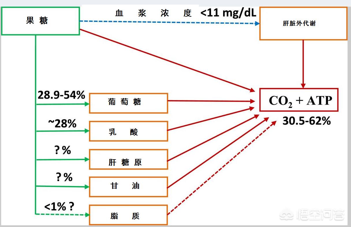 大量喝蜂蜜会不会导致糖尿病,大量喝蜂蜜的危害