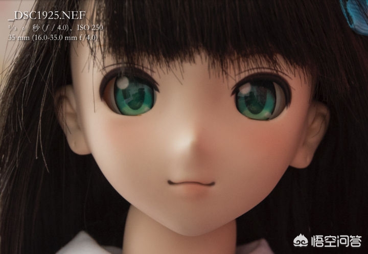 如何入门了解相机,如何快速的入门摄影