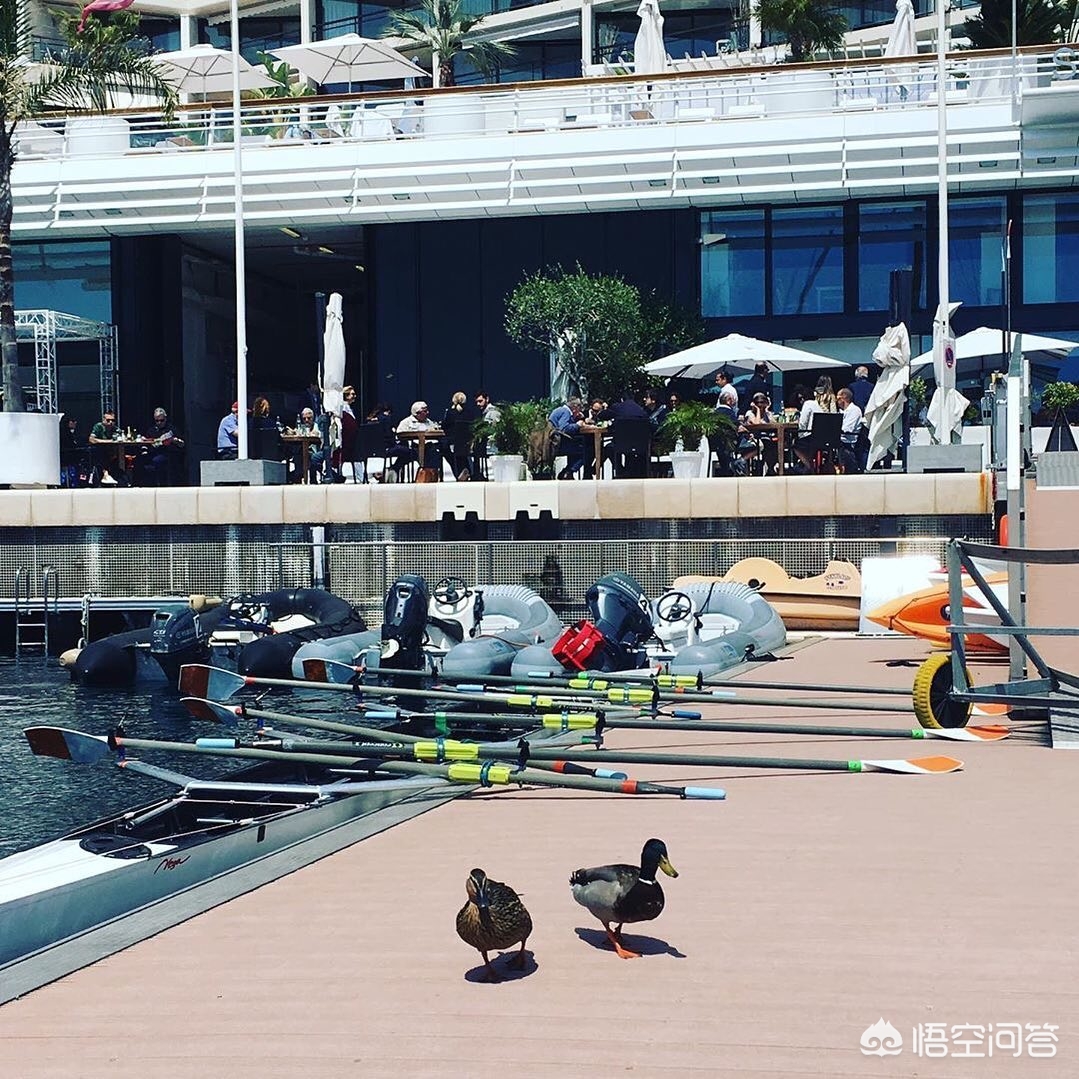 欧洲法国瑞士意大利旅游攻略,法国意大利六日游攻略大全