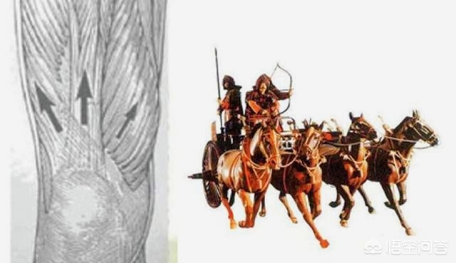 膝关节痛上下楼梯痛教你一招缓解,走平路时膝关节疼痛是什么原因