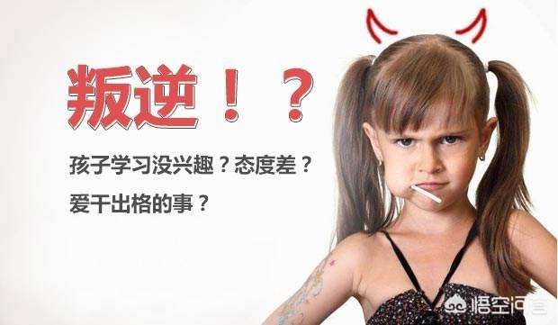 孩子上学鸡飞狗跳,孩子上小学后的鸡飞狗跳