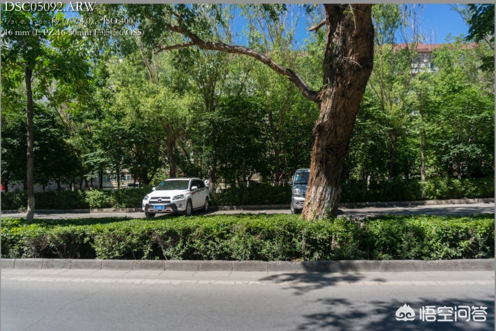 如何入门了解相机,如何快速的入门摄影