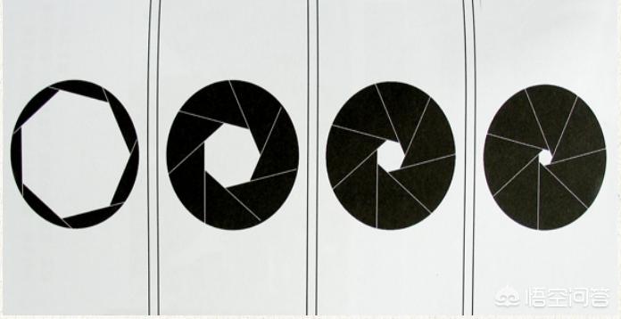 如何入门了解相机,如何快速的入门摄影