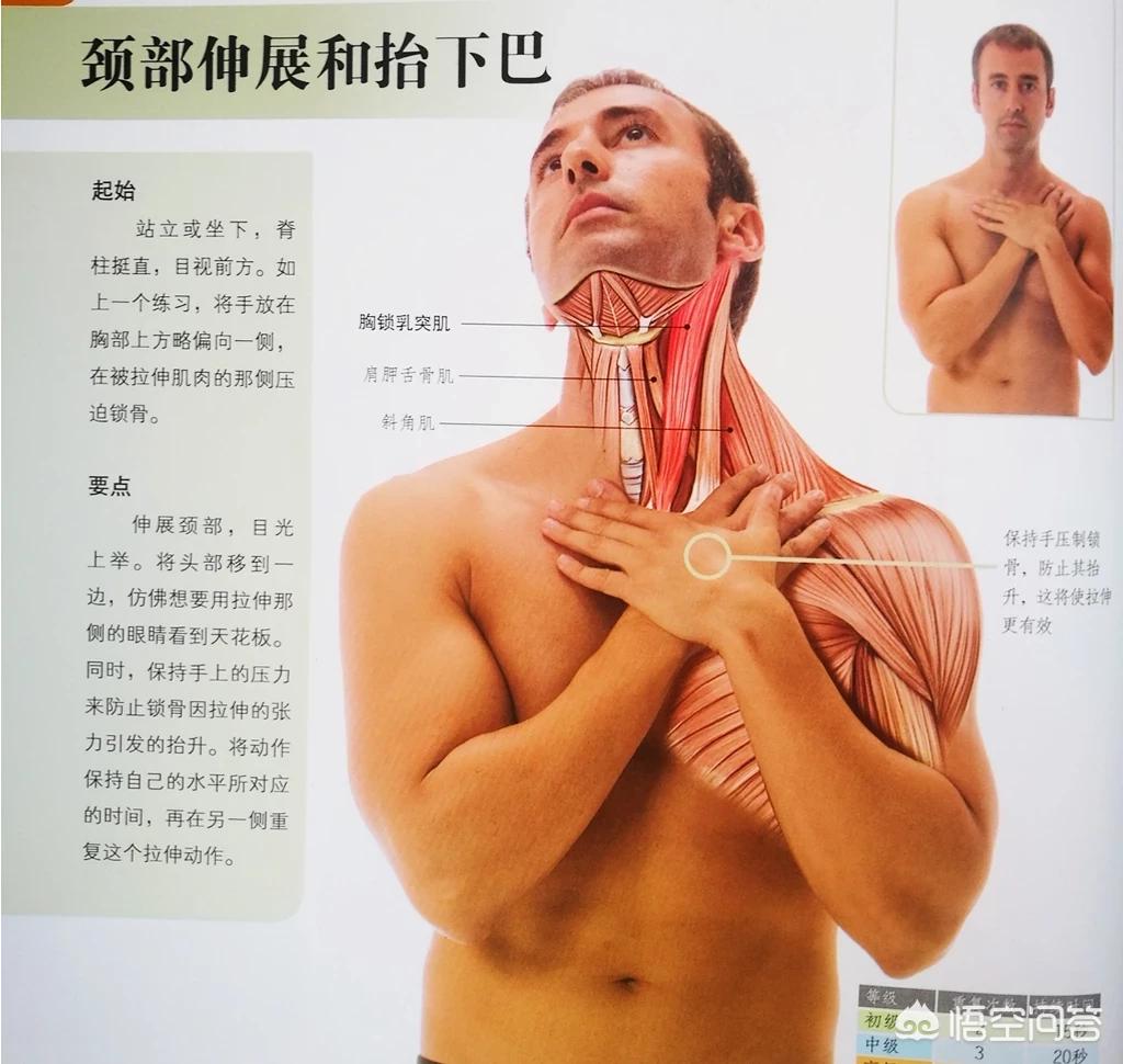 颈椎病患者如何选用枕头,神经型颈椎病枕高枕头还是低枕头