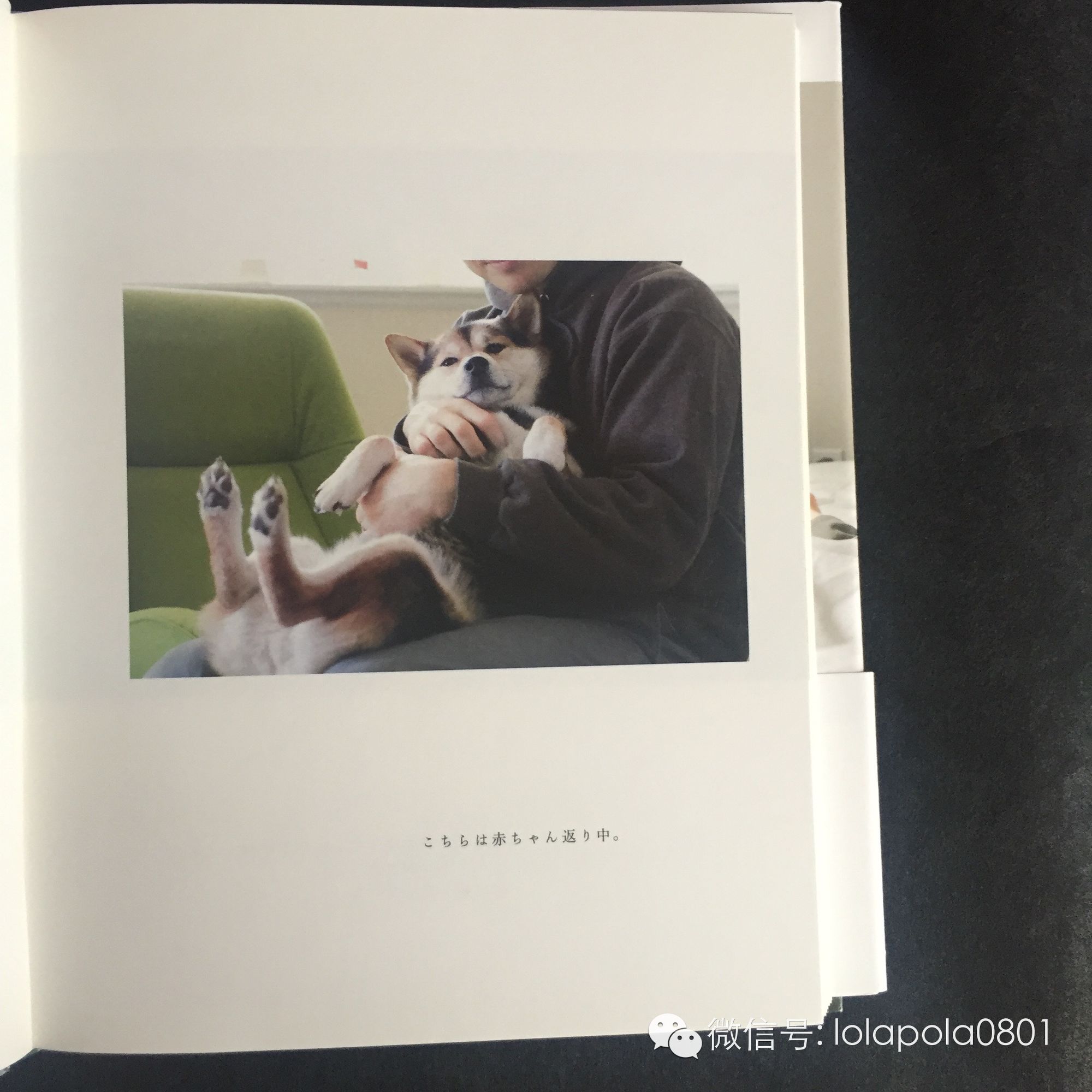 WeeklyFav｜#200125-0214春节假期好物发现推荐