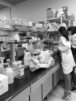 这个本科班70多位博导教