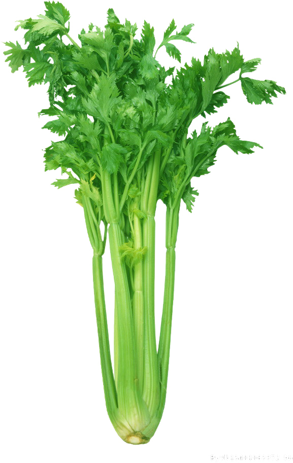 用7折召唤幸运星座！这家火爆店竟然还把长寿村广西巴马的神奇秘密带到了苏州！