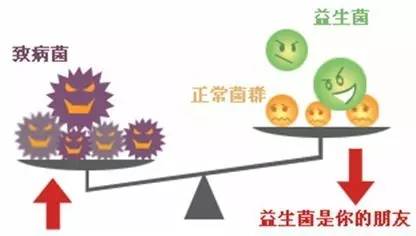 喝酸奶通便是真的吗,喝酸奶的后果