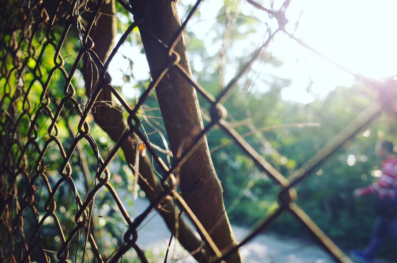 天下没有陌生人全文,天下没有陌生人海报