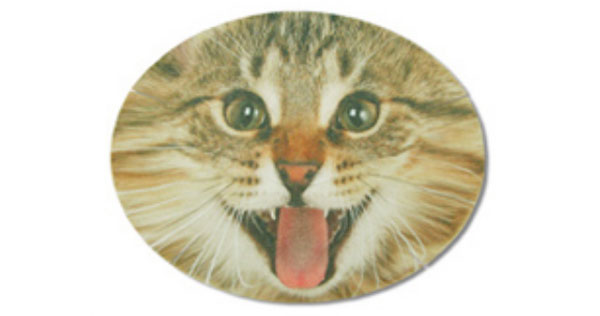 猫脸上的面膜怎么样,猫脸怪的魔法面膜