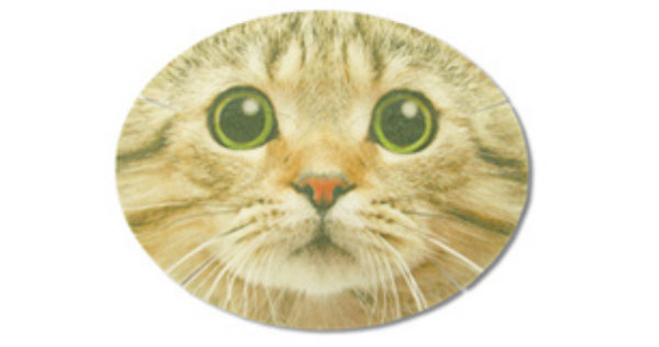 猫脸上的面膜怎么样,猫脸怪的魔法面膜