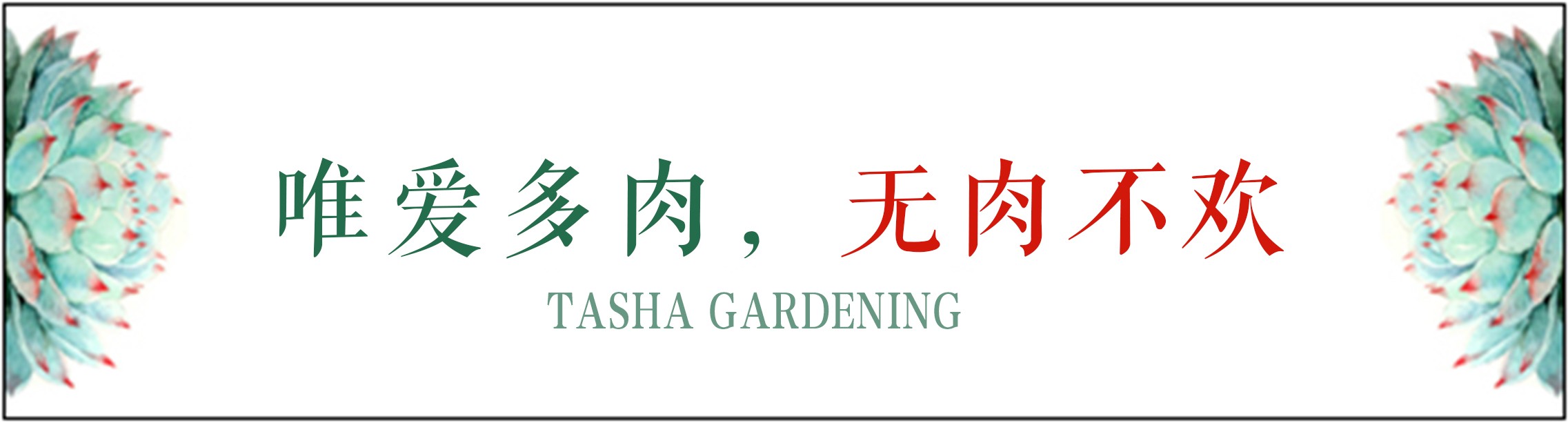 乌木多肉叶片化水了咋办,扦插多肉叶片化水了怎么办