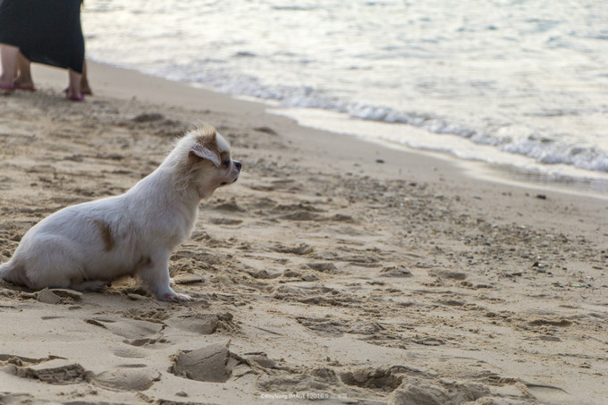 夏日沙滩玩水letsgo,letsgo夏日旅行