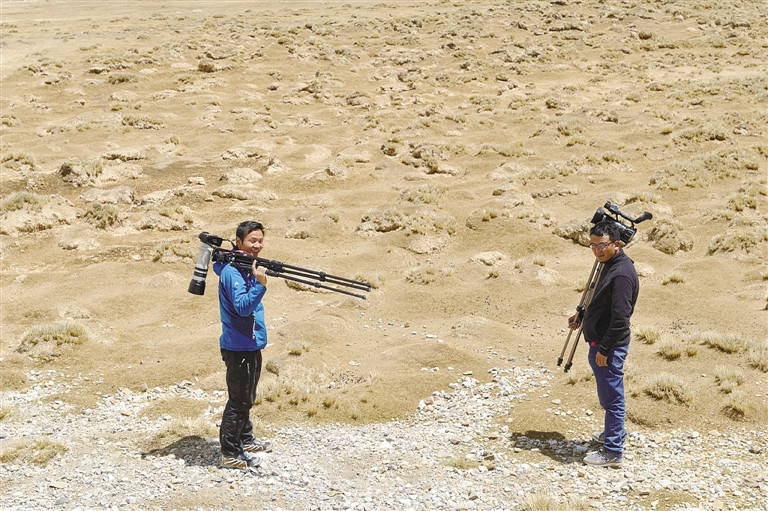 黑颈鹤有几个配偶,黑颈鹤大雁双双飞