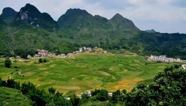 用7折召唤幸运星座！这家火爆店竟然还把长寿村广西巴马的神奇秘密带到了苏州！