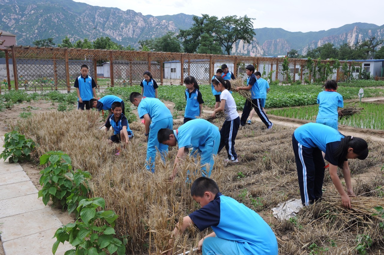 学校围观活动,围观校运会