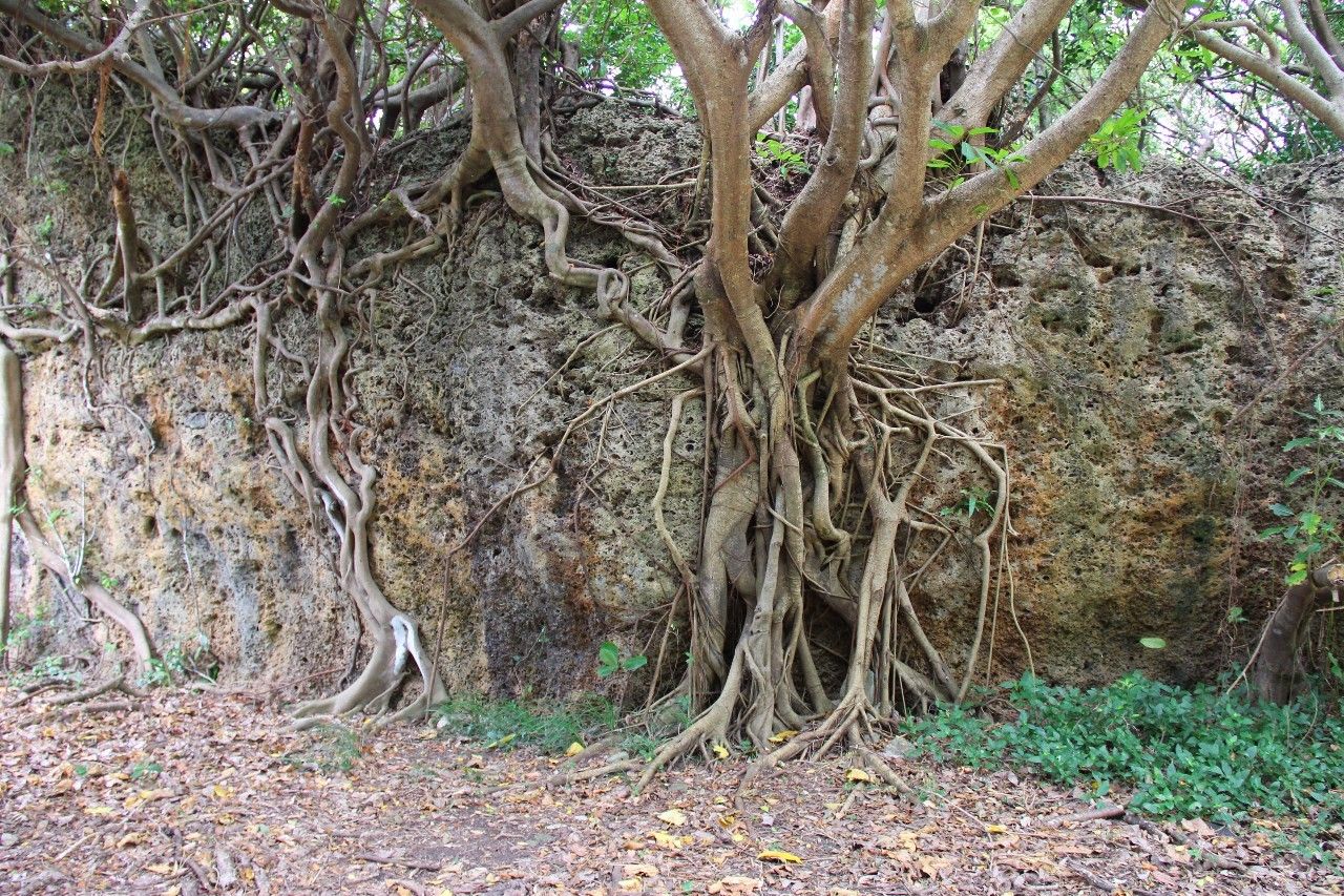 去台湾垦丁从哪出发最划算,垦丁晚上到台北怎么去