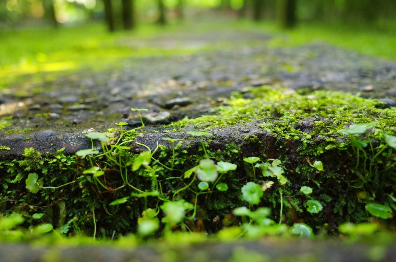 天下没有陌生人全文,天下没有陌生人海报