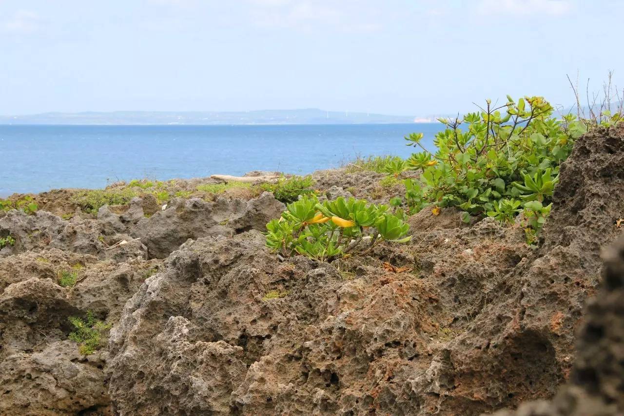 去台湾垦丁从哪出发最划算,垦丁晚上到台北怎么去