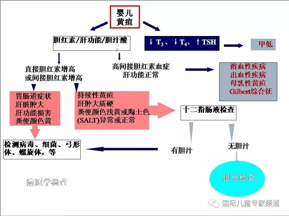 「PPT干货」国际儿童专家频道学术讲座.NO7——浙江大学医学院附属儿童医院消化科，陈洁主任主讲《婴儿胆汁淤积性肝病的诊治》