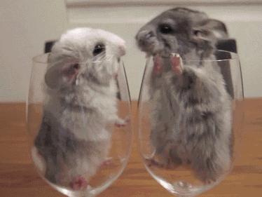 想要属于自己的东西为什么,想要属于自己的东西