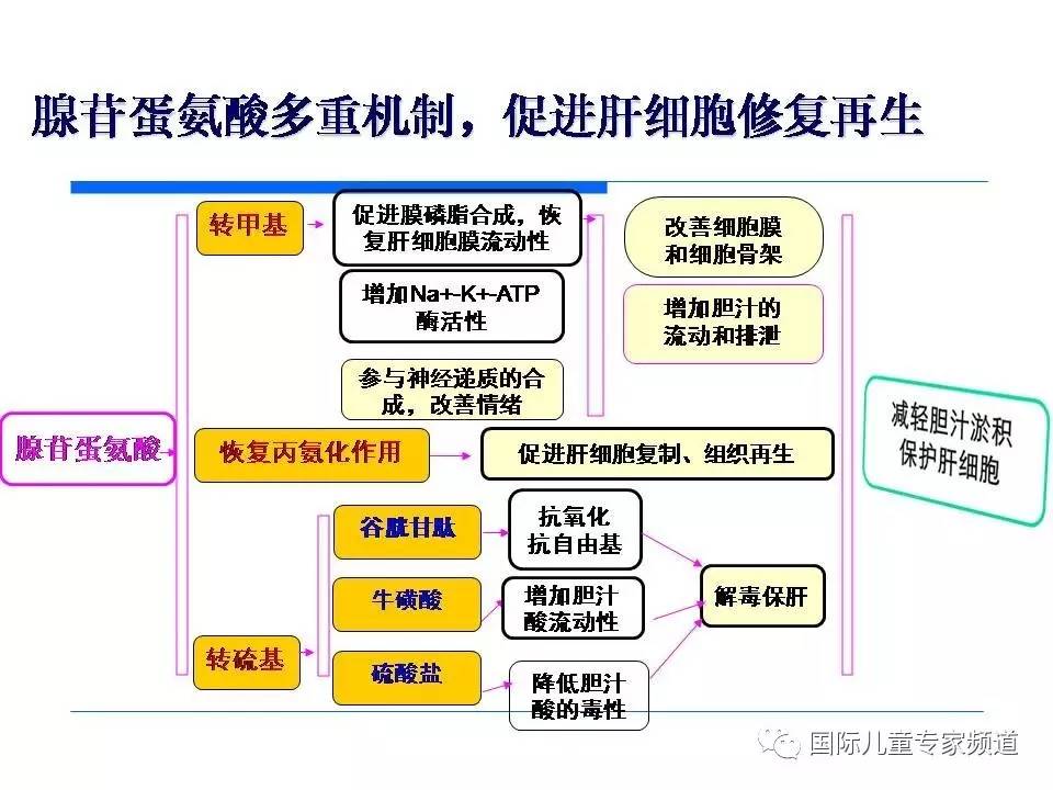 「PPT干货」国际儿童专家频道学术讲座.NO7——浙江大学医学院附属儿童医院消化科，陈洁主任主讲《婴儿胆汁淤积性肝病的诊治》