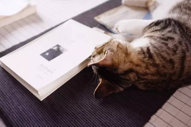 无锡有哪些有格调的书店,无锡哪个书店看书比较好