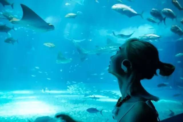 出国旅游关岛,日本冲绳三年旅游签证办理攻略