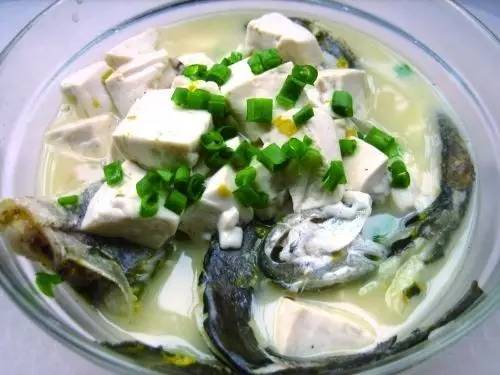 中医湿热体质如何调养,湿热体质怎么饮食调理