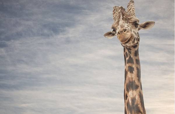 亚马逊排名第一耳机,亚马逊排名前十的耳机品牌