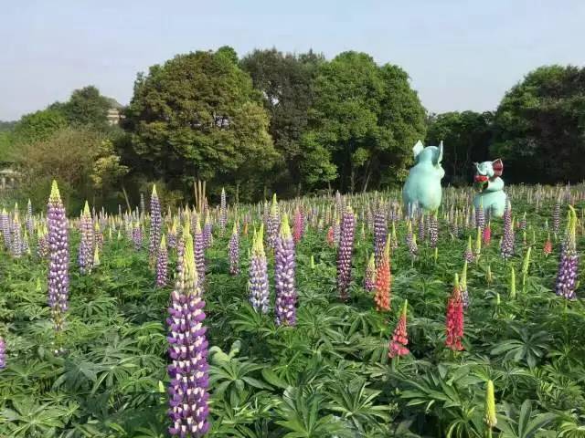 成都去石象湖的游玩攻略,成都石象湖门票哪个月去最佳