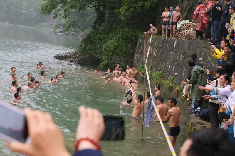 今天“四月八”，吉首坪朗比往年更“火”！