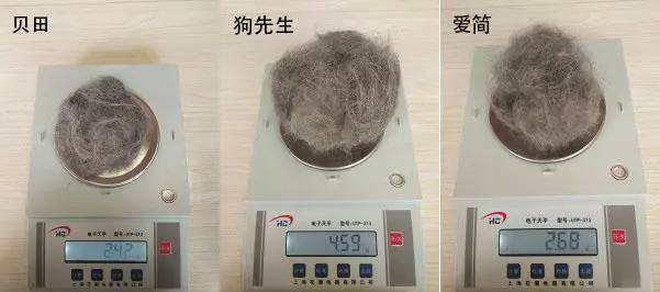 宠物去毛梳测评,猫毛梳测评真实